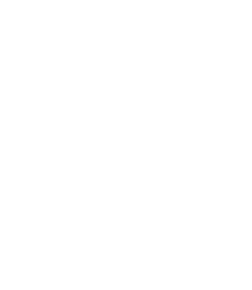 QLZH Holding PLC Logo